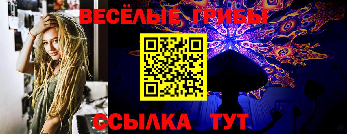 Стрежевой  Галлюциногенные грибы Cubensis  Вход с VPN 